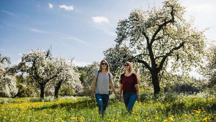 Die schönsten Bluescht-Wanderungen