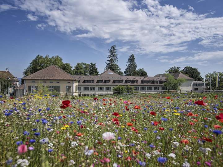 Arenenberger Gartenwelt