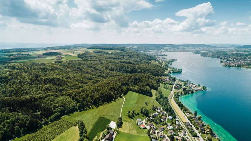 Entlang des Thurgauer Seerückens