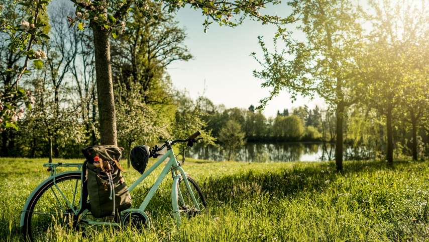Kreativ werden mit der Bluescht